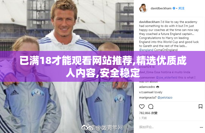 已满18才能观看网站推荐,精选优质成人内容,安全稳定