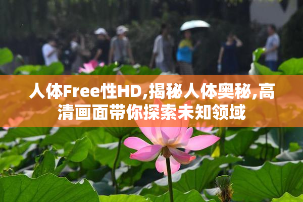 人体Free性HD,揭秘人体奥秘,高清画面带你探索未知领域