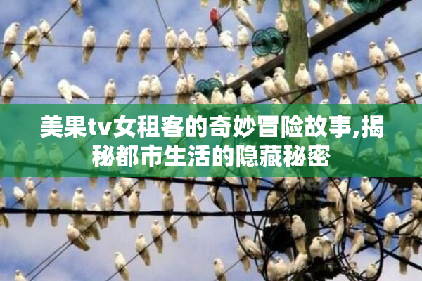 美果tv女租客的奇妙冒险故事,揭秘都市生活的隐藏秘密