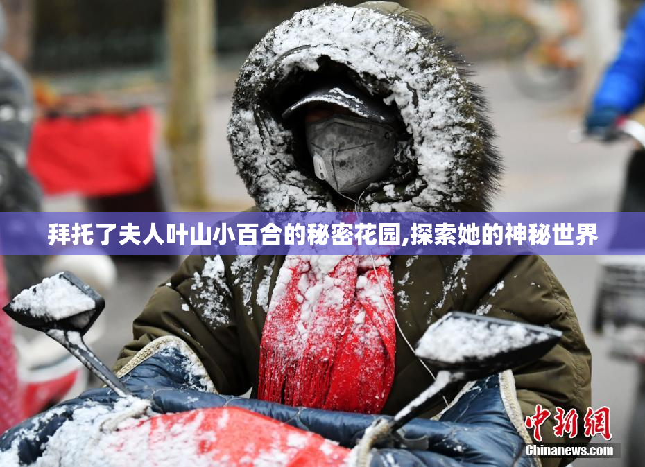 拜托了夫人叶山小百合的秘密花园,探索她的神秘世界