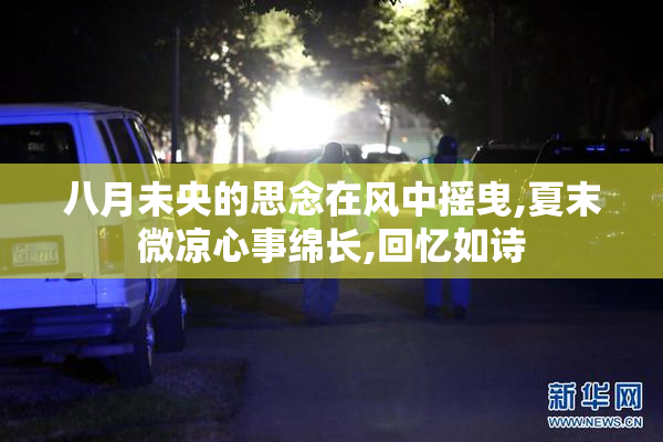 八月未央的思念在风中摇曳,夏末微凉心事绵长,回忆如诗