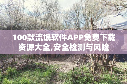 100款流氓软件APP免费下载资源大全,安全检测与风险
