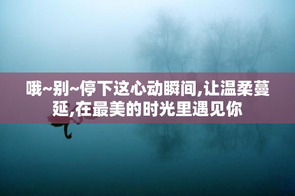 哦~别~停下这心动瞬间,让温柔蔓延,在最美的时光里遇见你