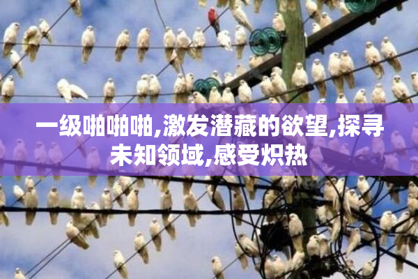 一级啪啪啪,激发潜藏的欲望,探寻未知领域,感受炽热