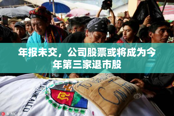 年报未交，公司股票或将成为今年第三家退市股