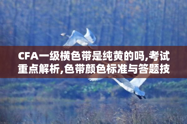 CFA一级横色带是纯黄的吗,考试重点解析,色带颜色标准与答题技巧