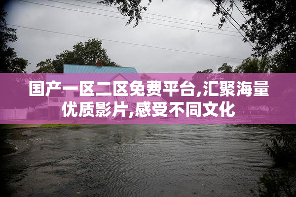 国产一区二区免费平台,汇聚海量优质影片,感受不同文化
