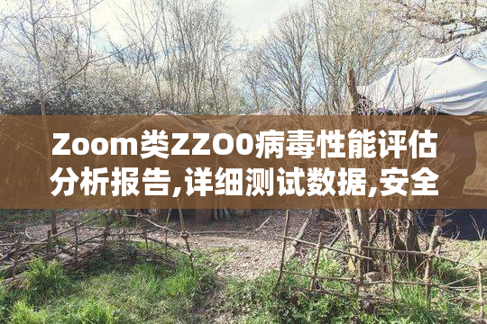 Zoom类ZZO0病毒性能评估分析报告,详细测试数据,安全威胁与防护建议