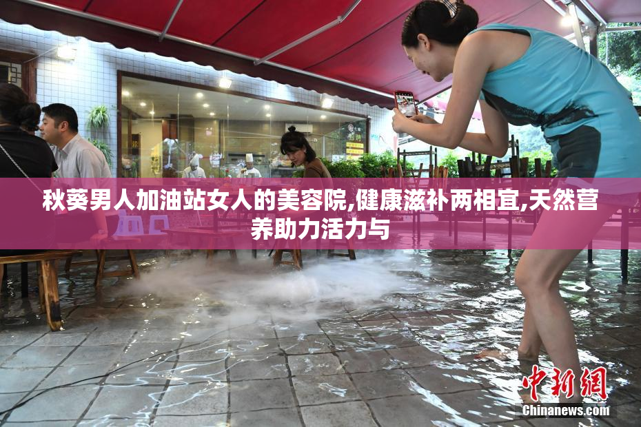 秋葵男人加油站女人的美容院,健康滋补两相宜,天然营养助力活力与