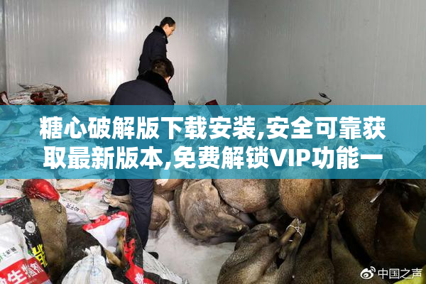 糖心破解版下载安装,安全可靠获取最新版本,免费解锁VIP功能一键畅享