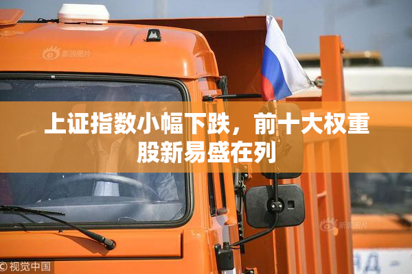 上证指数小幅下跌，前十大权重股新易盛在列