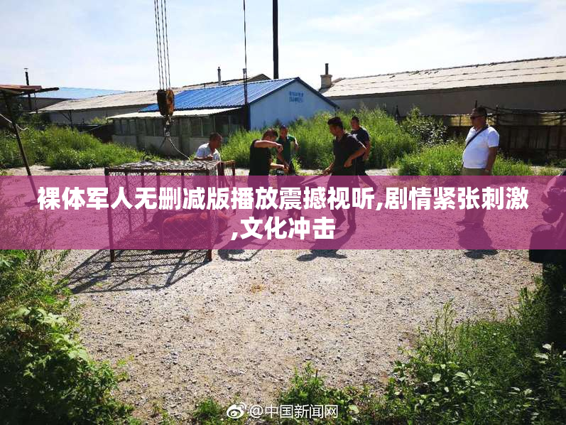 裸体军人无删减版播放震撼视听,剧情紧张刺激,文化冲击
