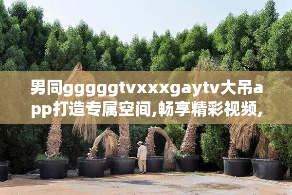 男同gggggtvxxxgaytv大吊app打造专属空间,畅享精彩视频,开启全新