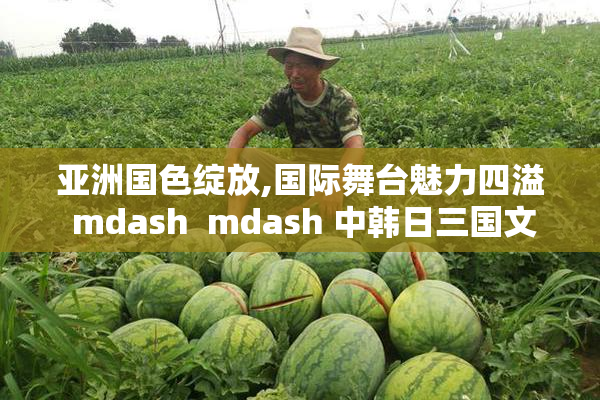 亚洲国色绽放,国际舞台魅力四溢 mdash  mdash 中韩日三国文化