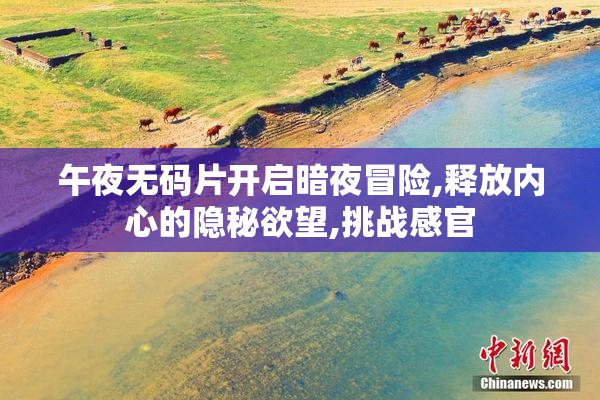 午夜无码片开启暗夜冒险,释放内心的隐秘欲望,挑战感官