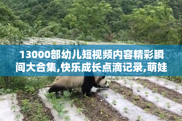 13000部幼儿短视频内容精彩瞬间大合集,快乐成长点滴记录,萌娃日常
