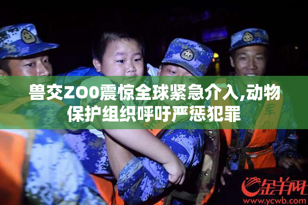 兽交ZO0震惊全球紧急介入,动物保护组织呼吁严惩犯罪