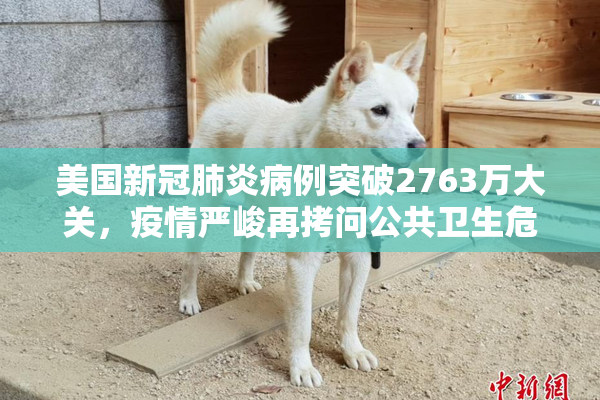 美国新冠肺炎病例突破2763万大关，疫情严峻再拷问公共卫生危机