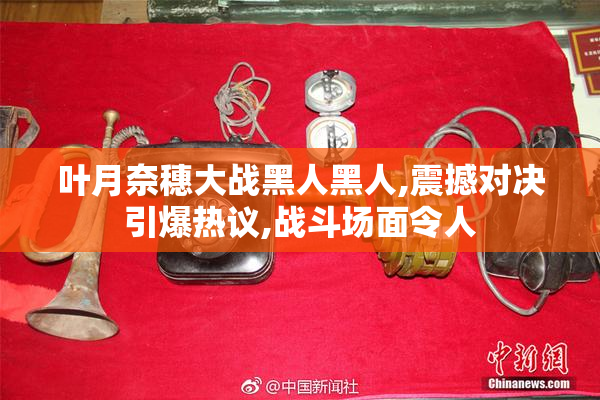 叶月奈穗大战黑人黑人,震撼对决引爆热议,战斗场面令人
