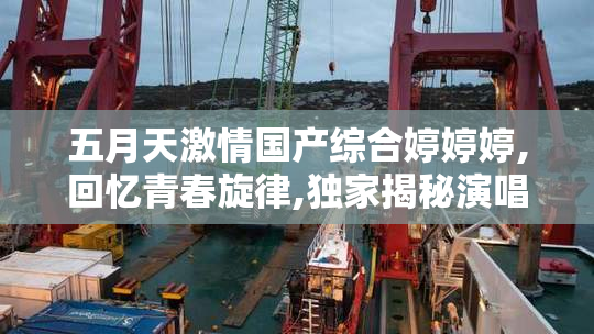 五月天激情国产综合婷婷婷,回忆青春旋律,独家揭秘演唱
