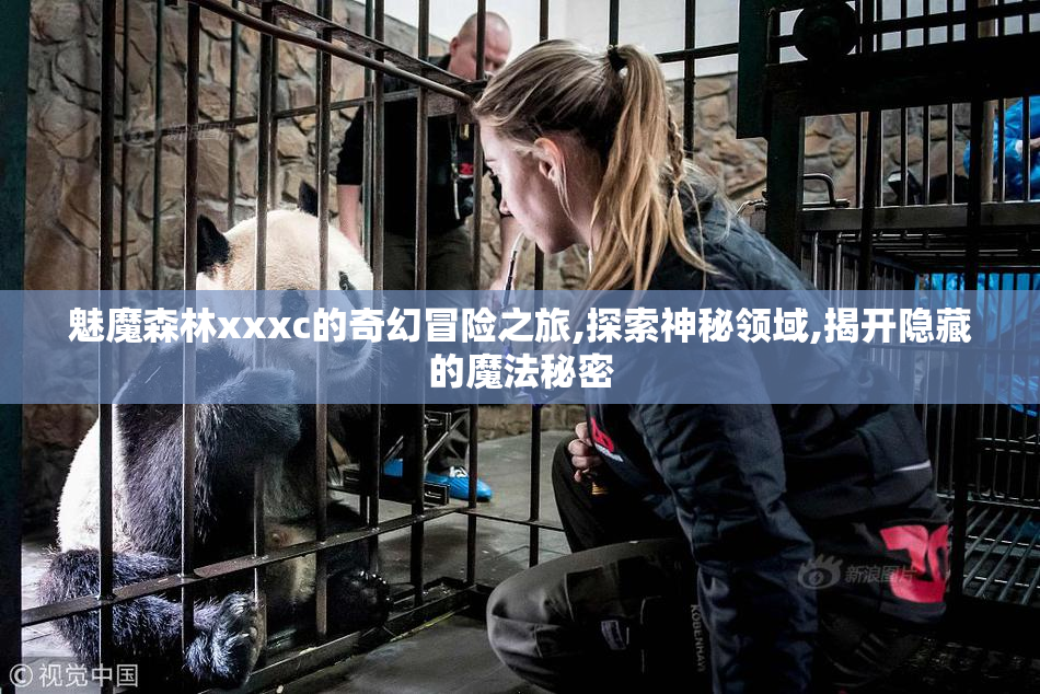 魅魔森林xxxc的奇幻冒险之旅,探索神秘领域,揭开隐藏的魔法秘密