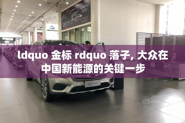ldquo 金标 rdquo 落子, 大众在中国新能源的关键一步
