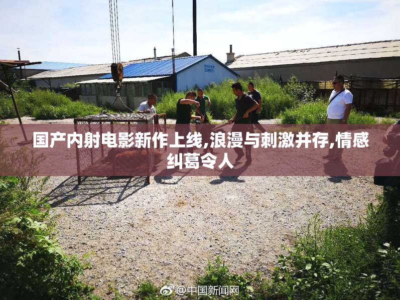 国产内射电影新作上线,浪漫与刺激并存,情感纠葛令人