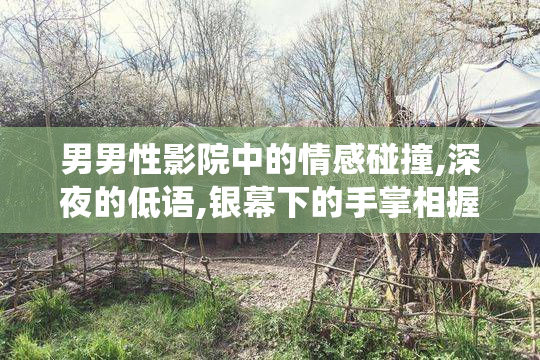 男男性影院中的情感碰撞,深夜的低语,银幕下的手掌相握,演绎出最