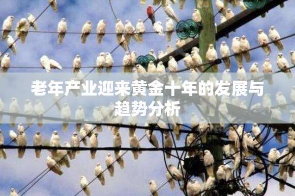 老年产业迎来黄金十年的发展与趋势分析