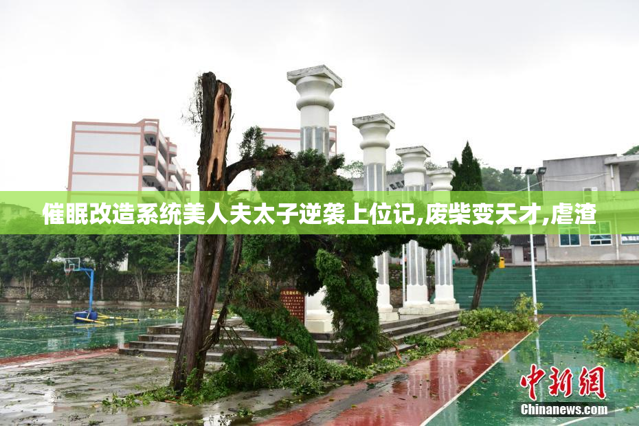 催眠改造系统美人夫太子逆袭上位记,废柴变天才,虐渣