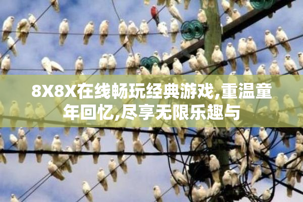8X8X在线畅玩经典游戏,重温童年回忆,尽享无限乐趣与
