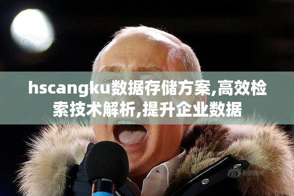 hscangku数据存储方案,高效检索技术解析,提升企业数据