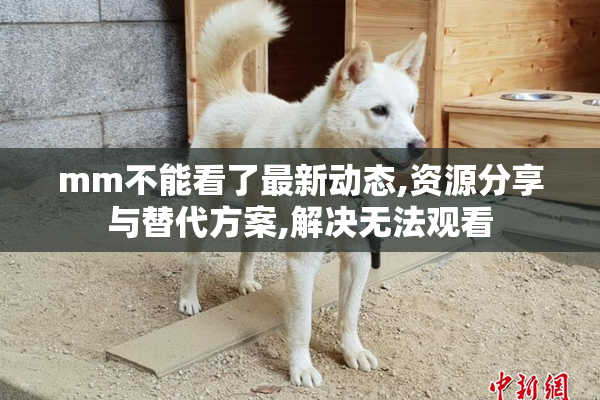 mm不能看了最新动态,资源分享与替代方案,解决无法观看