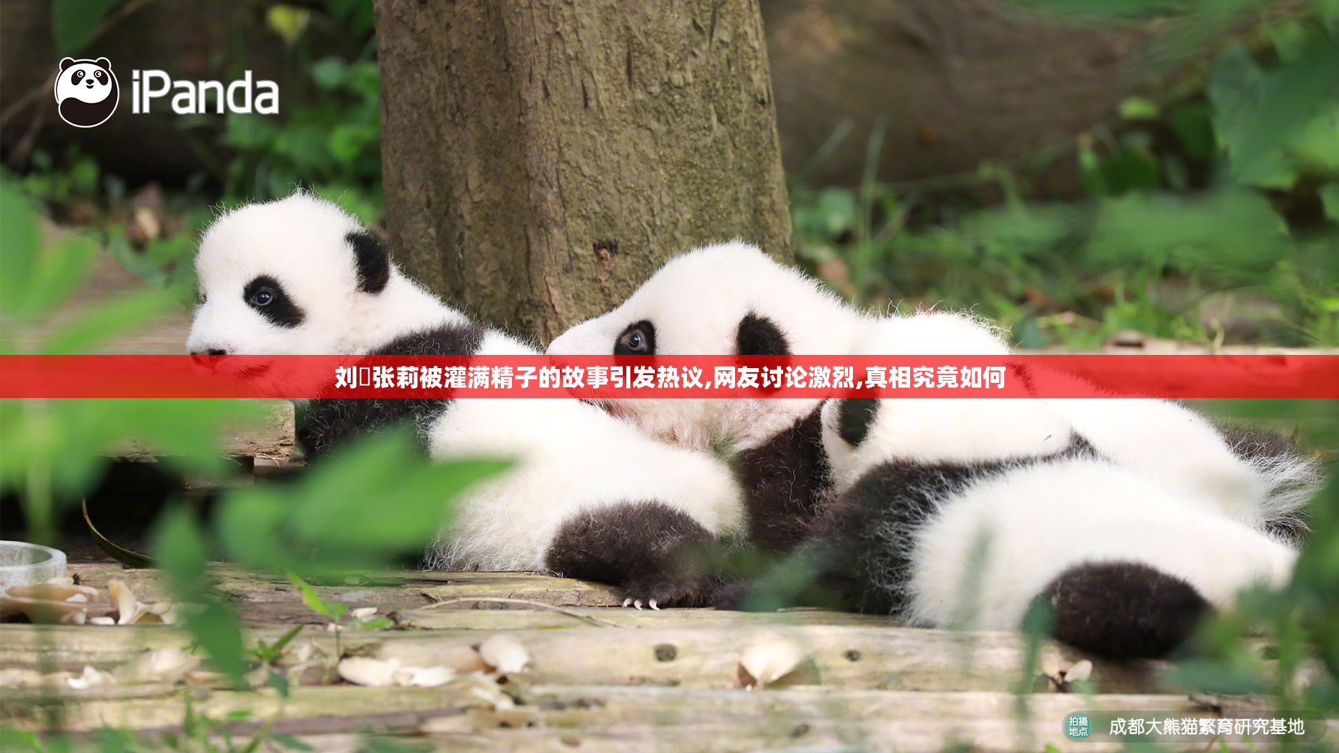 刘玥张莉被灌满精子的故事引发热议,网友讨论激烈,真相究竟如何