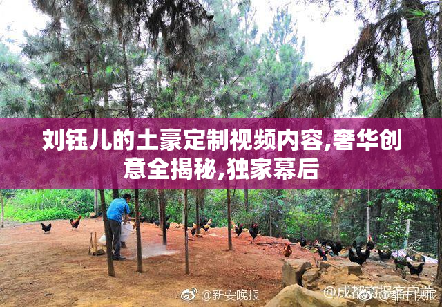 刘钰儿的土豪定制视频内容,奢华创意全揭秘,独家幕后