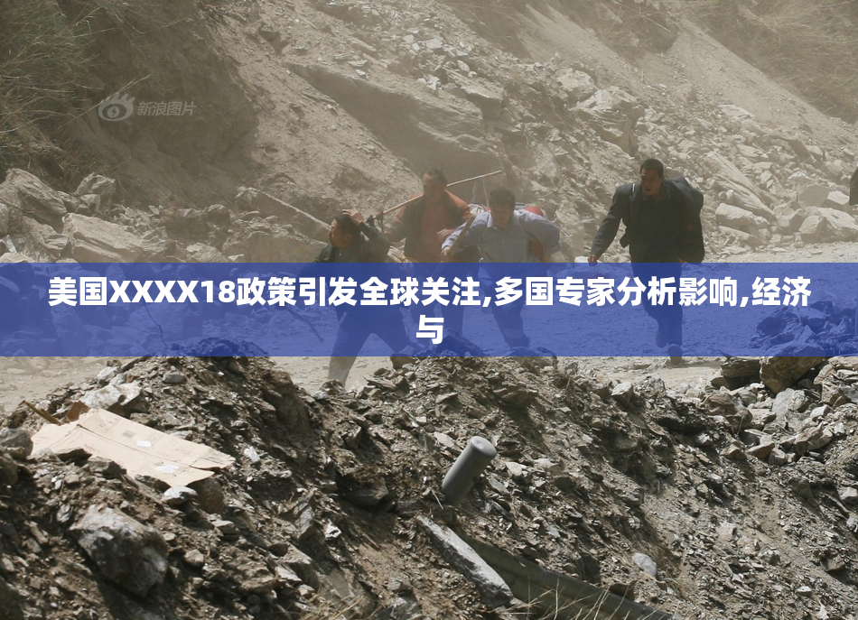 美国XXXX18政策引发全球关注,多国专家分析影响,经济与