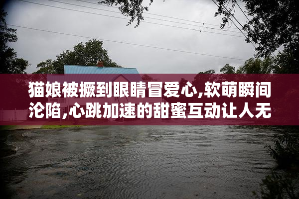 猫娘被撅到眼睛冒爱心,软萌瞬间沦陷,心跳加速的甜蜜互动让人无法