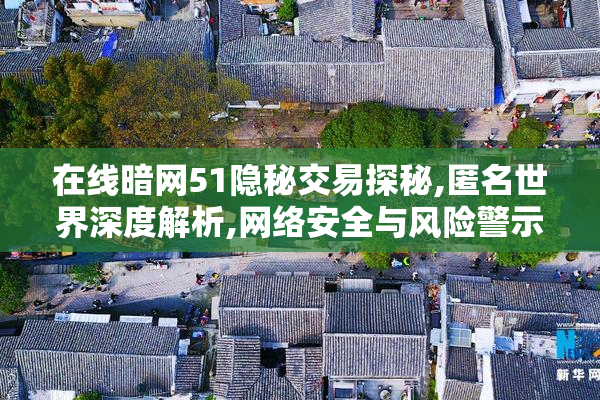 在线暗网51隐秘交易探秘,匿名世界深度解析,网络安全与风险警示