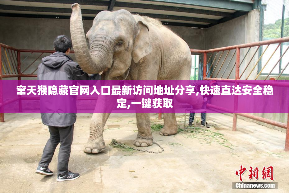 窜天猴隐藏官网入口最新访问地址分享,快速直达安全稳定,一键获取