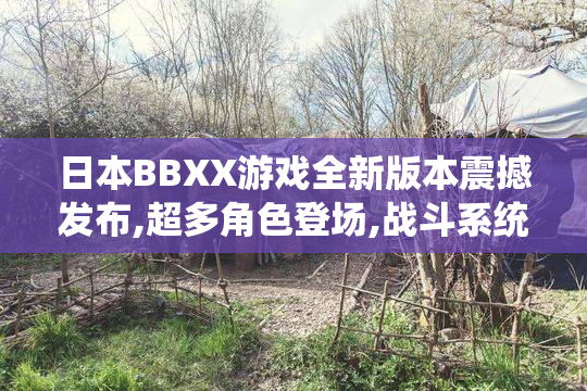 日本BBXX游戏全新版本震撼发布,超多角色登场,战斗系统