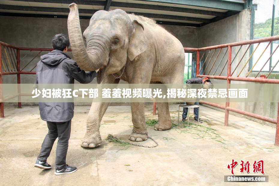 少妇被狂C下部 羞羞视频曝光,揭秘深夜禁忌画面