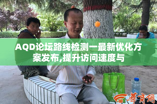 AQD论坛路线检测一最新优化方案发布,提升访问速度与
