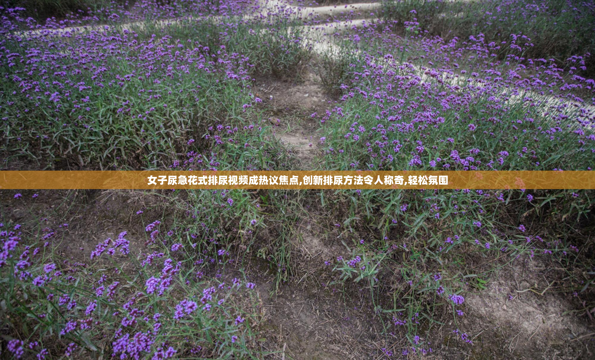 女子尿急花式排尿视频成热议焦点,创新排尿方法令人称奇,轻松氛围