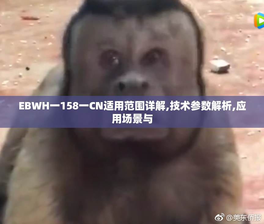 EBWH一158一CN适用范围详解,技术参数解析,应用场景与