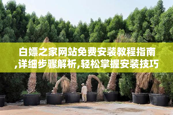 白嫖之家网站免费安装教程指南,详细步骤解析,轻松掌握安装技巧
