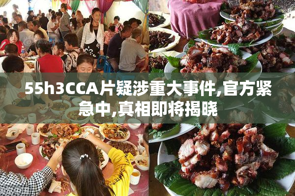 55h3CCA片疑涉重大事件,官方紧急中,真相即将揭晓