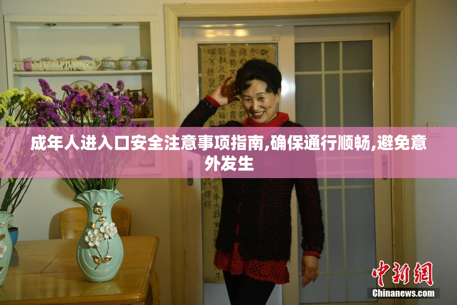 成年人进入口安全注意事项指南,确保通行顺畅,避免意外发生