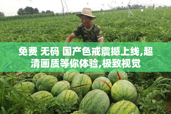 免费 无码 国产色戒震撼上线,超清画质等你体验,极致视觉