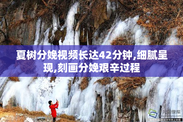 夏树分娩视频长达42分钟,细腻呈现,刻画分娩艰辛过程