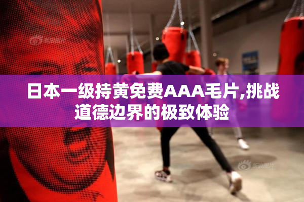 日本一级持黄免费AAA毛片,挑战道德边界的极致体验